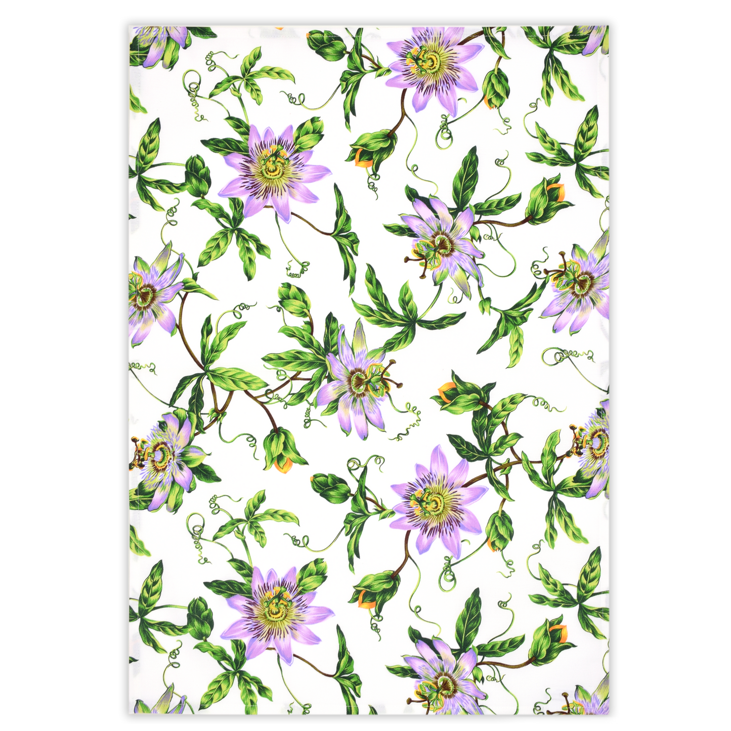 Canovaccio PASSIFLORA