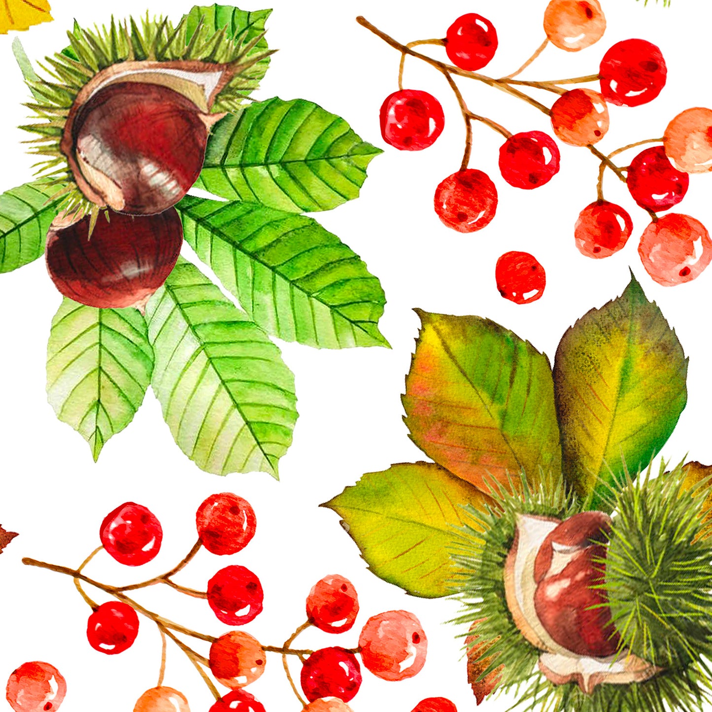 Tovaglia CASTAGNE ALL-OVER