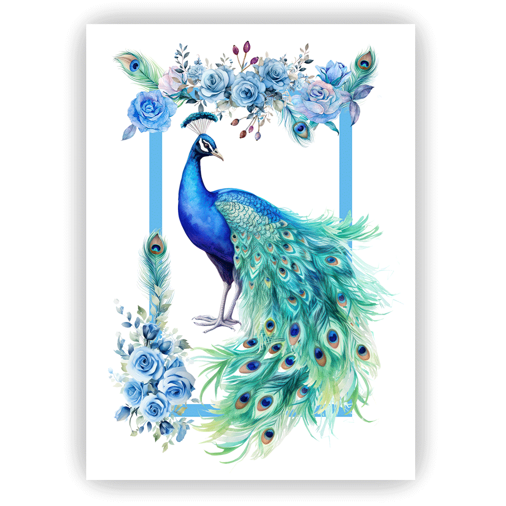 Canovaccio PEACOCK