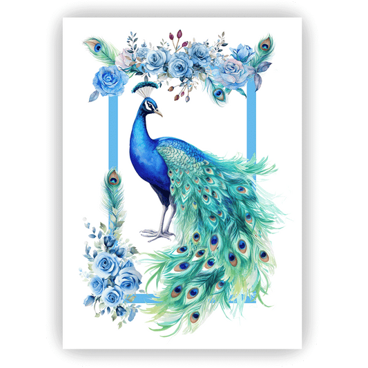 Canovaccio PEACOCK