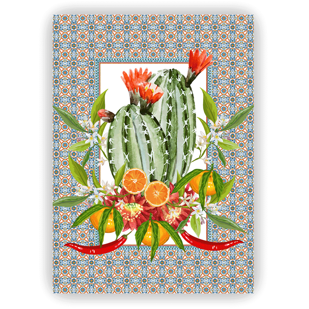 Canovaccio MEDITERRANEA CACTUS