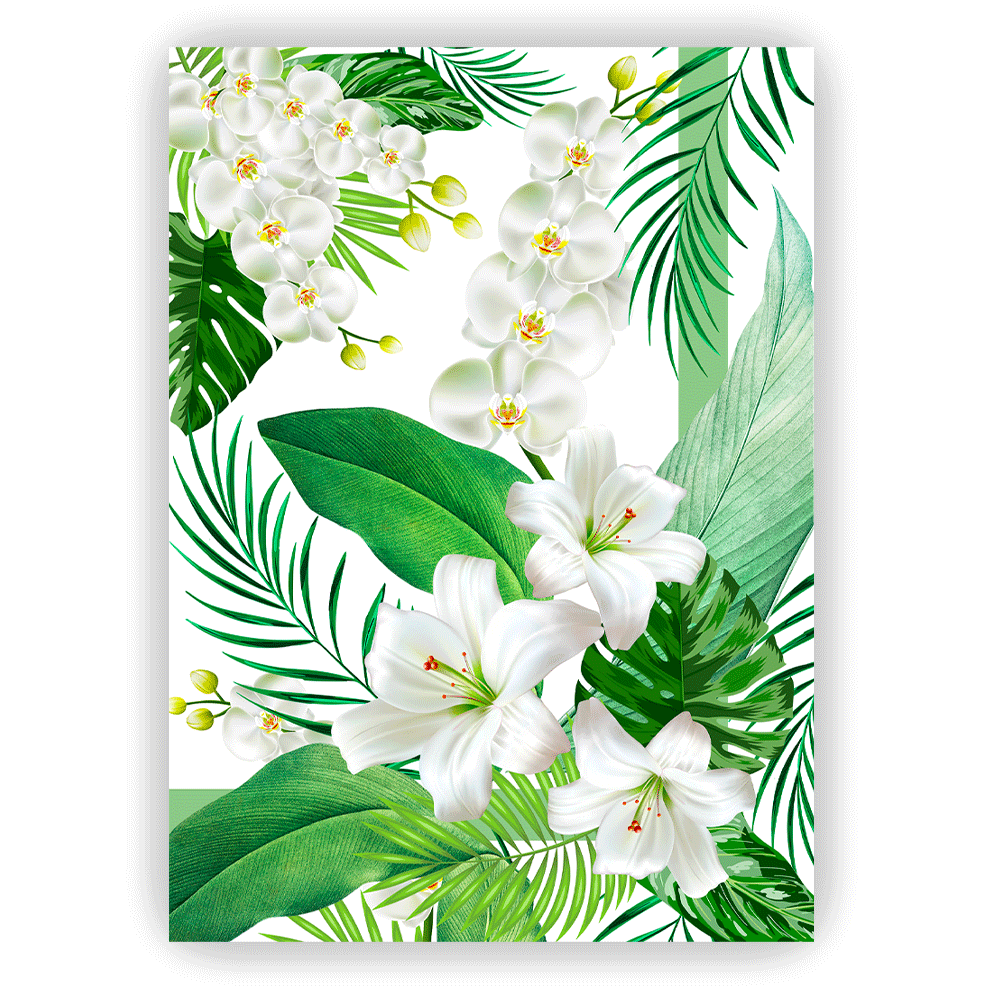 Canovaccio ORCHIDEA