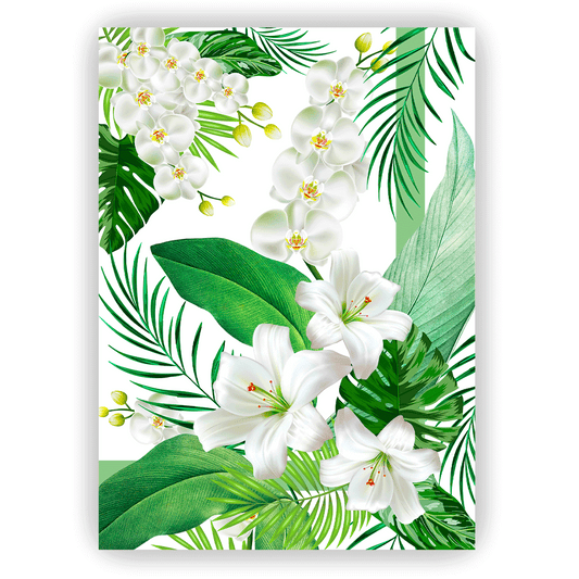 Canovaccio ORCHIDEA